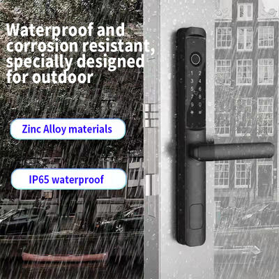 Black Zinc Alloy Smart Lock with Fingerprint WiFi Bluetooth for Aluminum Doors
