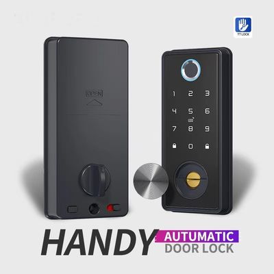 European Style Smart Home Fingerprint Door Lock with 2-Year Warranty 38-48mm Door Thickness and 4 AA Alkaline Battery