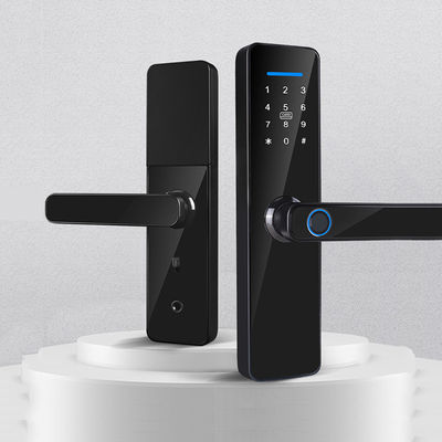 Biometric Fingerprint Wifi Lock Tuya Zigbee TTlock Smart Digital Pintu kunci