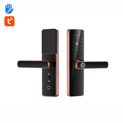 Smart Password Fingerprint Pintu Kunci TTlock Auto Kunci Pintu Untuk Rumah