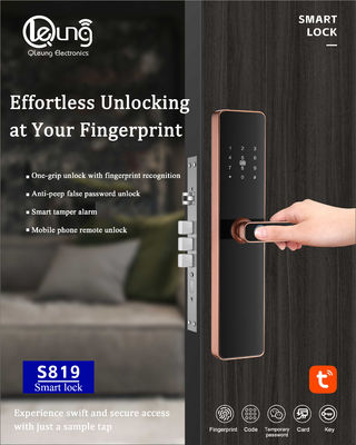 6068 Mortise sidik jari kunci pintu Tuya TTlock Wifi APP Opsional