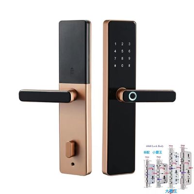 6068 Mortise TTlock Wifi Tuya kunci pintu dengan sidik jari dan kata sandi