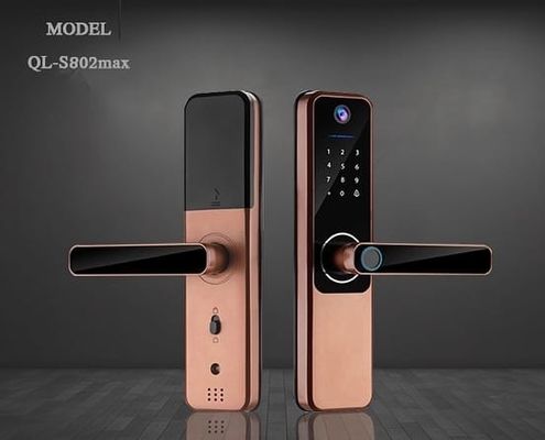 Kunci Pintu Sidik Jari Baterai Alkaline tahan lama Tuya Bluetooth Kunci Pintu Sidik Jari
