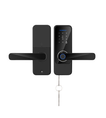 S810 Kunci Sidik Jari Cerdas Kunci Wifi Kunci Pintu Sederhana Kunci Sidik Jari Tuya TTlock Kunci Pintu Smart Home
