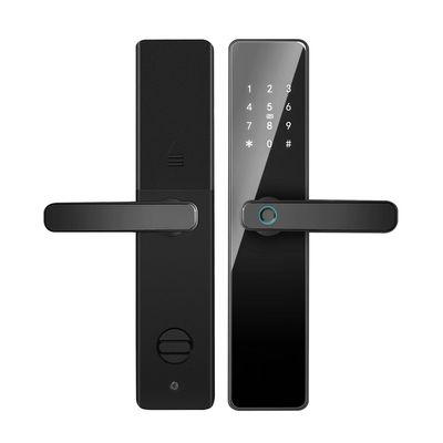 Qleung S819 Aluminium Door Fingerprint WiFi Enabled Tuya TTlock Dengan Key Card Password untuk Rumah