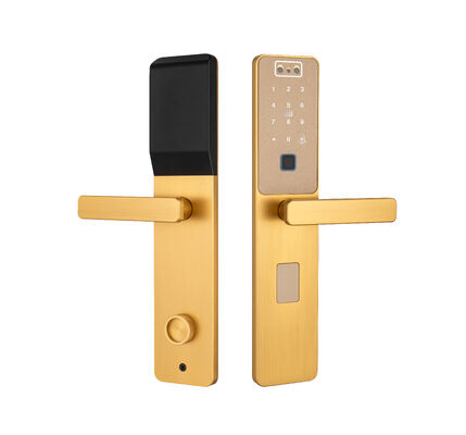 S869 Warna Emas CNC Slim Plate Face Recognition Palm Vein Buka Kunci Pintu Tuya